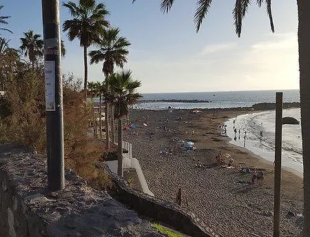 Monkey Beach Playa de las Americas (Tenerife)